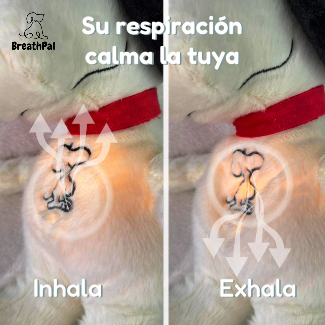 Peluche con Respiración